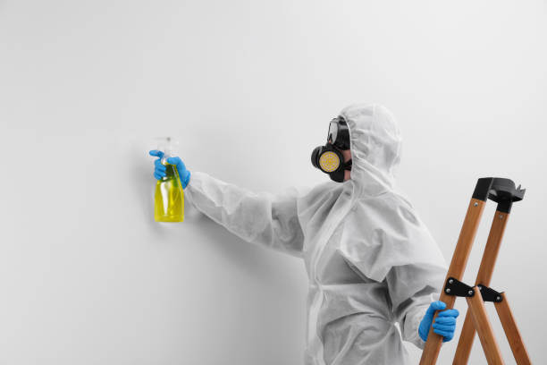 Professional Mold Removal in Elkhart, IN